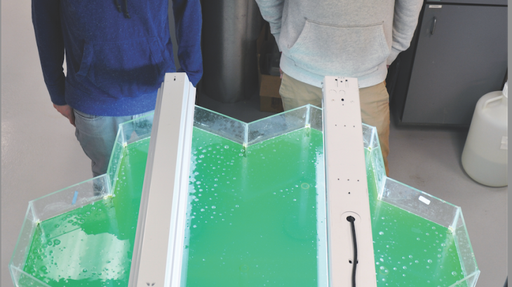 Undergrads commercialize process of turning algae into alternate form of energy.